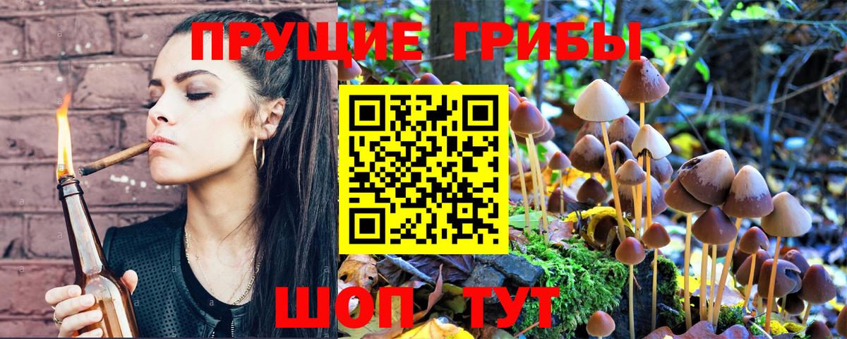 купить наркотики сайты  Вход с VPN  Вязьма  Псилоцибиновые грибы GOLDEN TEACHER 