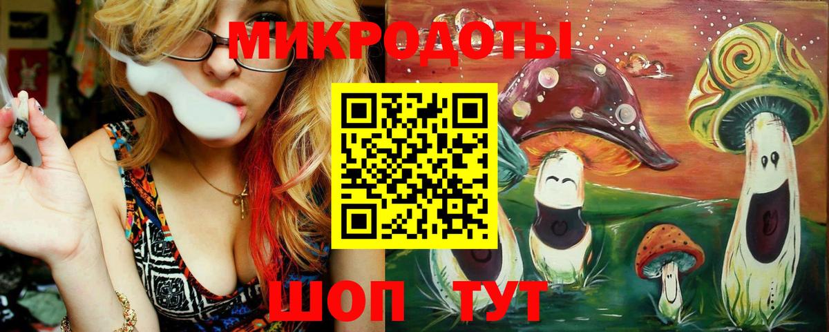 Галлюциногенные грибы Psilocybine cubensis Вязьма